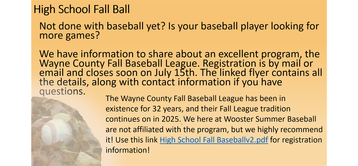 High School Fall Baseball