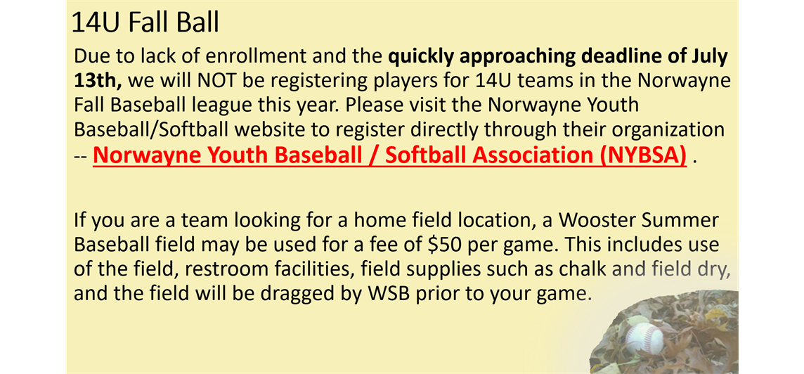 14U Fall Baseball